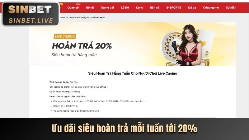 Chương trình VIP của TA28 VIN với các đặc quyền và ưu đãi